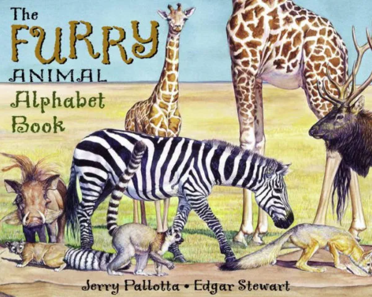 The Furry Animal Alphabet Book is a picture book.