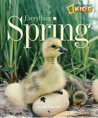 Everything Spring is a nonfiction children's book.