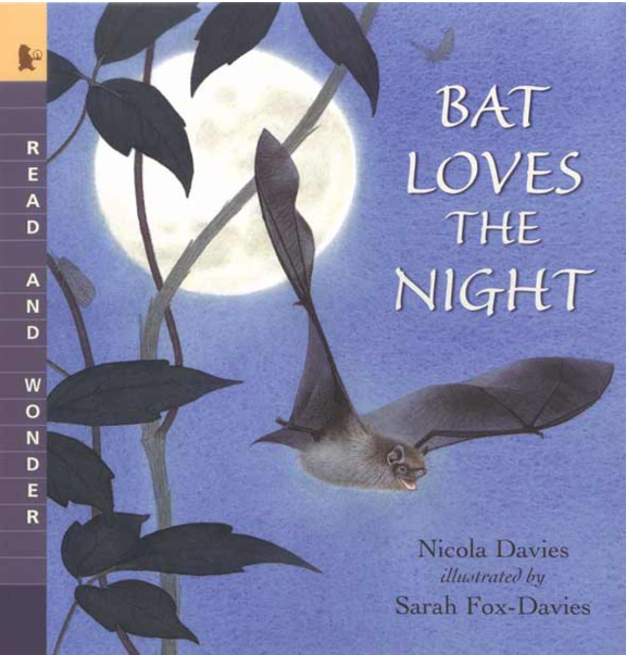 Bat Loves the Night is a childrens's book.
