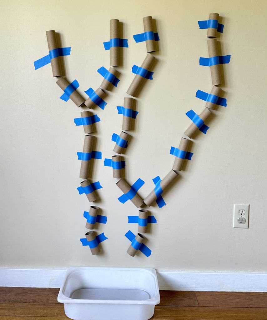 science project of paper towel rolls and toilet paper rolls taped to a wall in the shape of tunnels