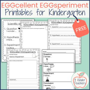science worksheets for egg experiments for kindergarten