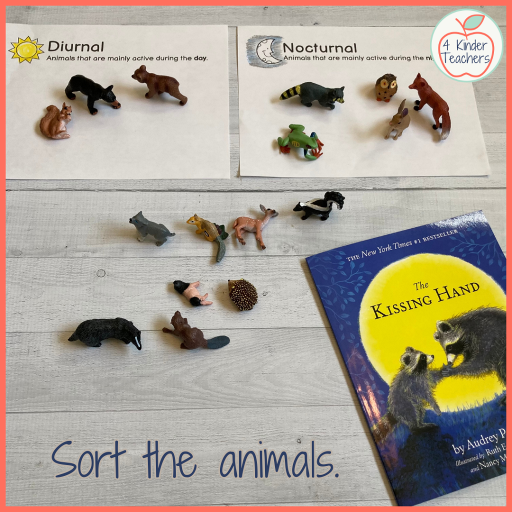 Sorting small plastic animals by nocturnal and diurnal.