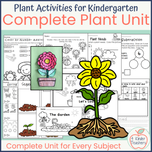 sample worksheets from the Plant Unit for Kindergarten, Activities for Every Subject